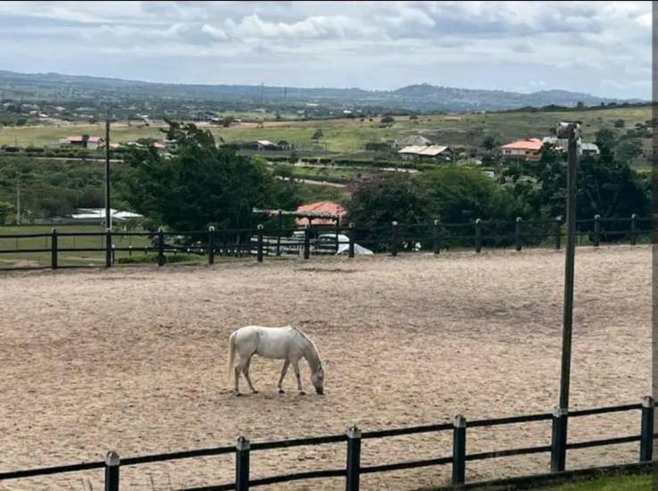 Flat Hotel Fazenda Gravatá Monte Castelo 1Módulo Esterno foto